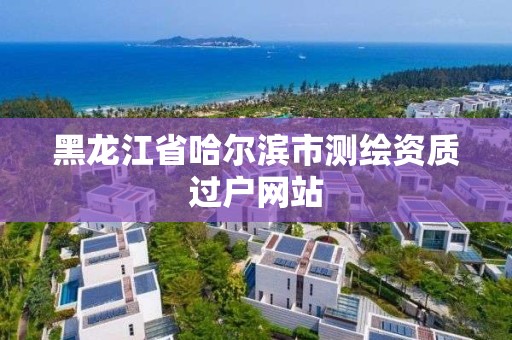 黑龍江省哈爾濱市測繪資質過戶網站