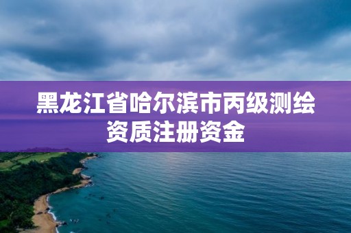 黑龍江省哈爾濱市丙級測繪資質(zhì)注冊資金