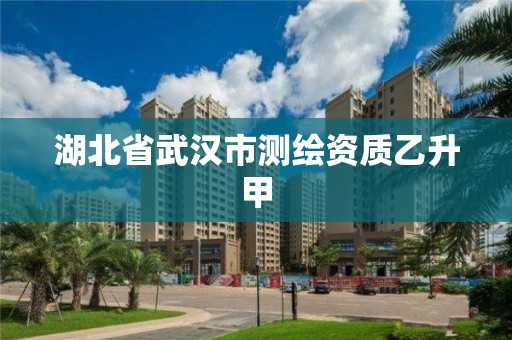 湖北省武漢市測繪資質乙升甲