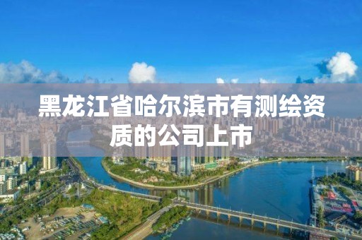 黑龍江省哈爾濱市有測繪資質(zhì)的公司上市