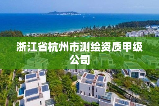 浙江省杭州市測繪資質甲級公司