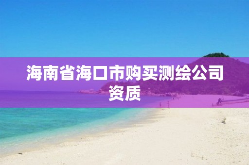 海南省海口市購買測繪公司資質