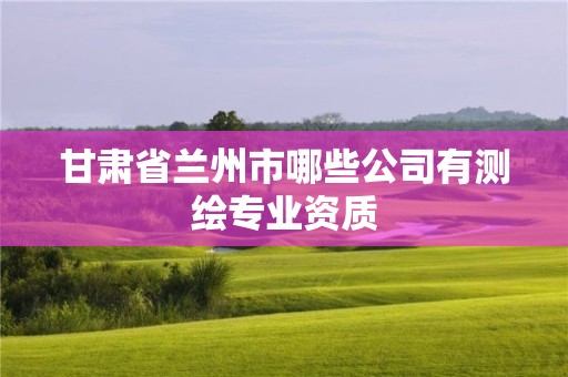 甘肅省蘭州市哪些公司有測(cè)繪專業(yè)資質(zhì)