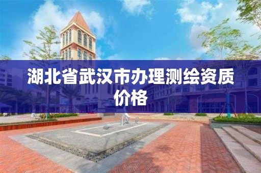 湖北省武漢市辦理測繪資質價格