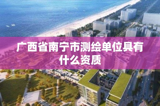 廣西省南寧市測繪單位具有什么資質