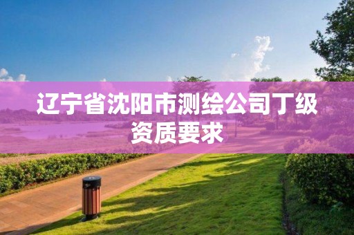 遼寧省沈陽市測繪公司丁級資質要求