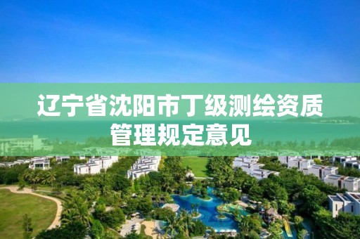 遼寧省沈陽市丁級測繪資質管理規定意見