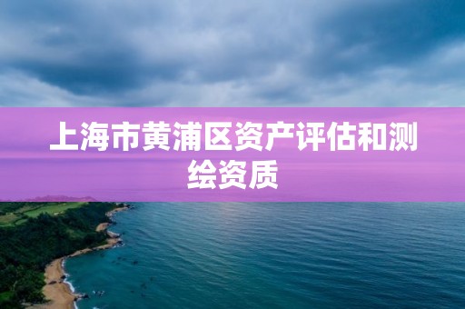 上海市黃浦區資產評估和測繪資質