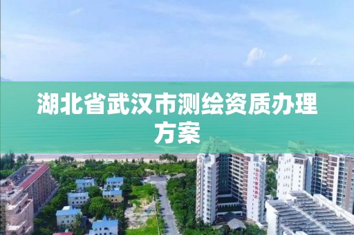 湖北省武漢市測繪資質辦理方案