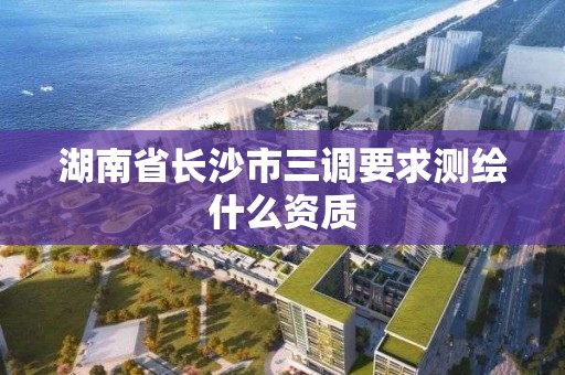 湖南省長沙市三調要求測繪什么資質