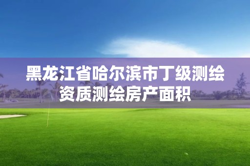 黑龍江省哈爾濱市丁級(jí)測(cè)繪資質(zhì)測(cè)繪房產(chǎn)面積