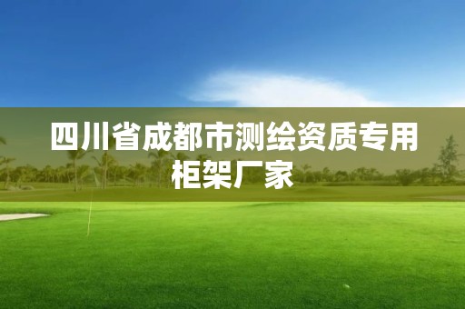 四川省成都市測繪資質專用柜架廠家