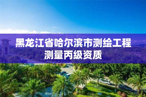 黑龍江省哈爾濱市測繪工程測量丙級資質(zhì)