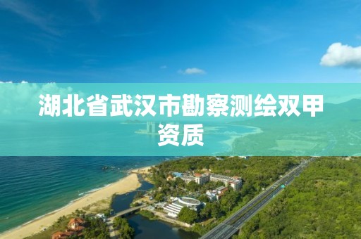 湖北省武漢市勘察測繪雙甲資質