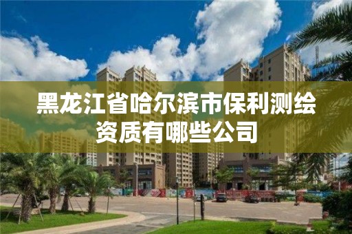 黑龍江省哈爾濱市保利測繪資質有哪些公司