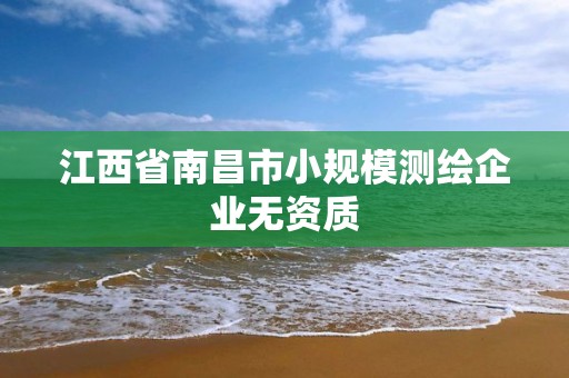 江西省南昌市小規(guī)模測繪企業(yè)無資質