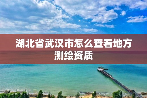 湖北省武漢市怎么查看地方測繪資質