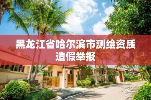 黑龍江省哈爾濱市測繪資質造假舉報