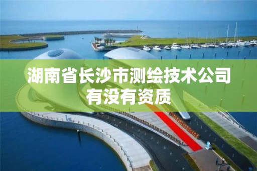 湖南省長沙市測繪技術公司有沒有資質