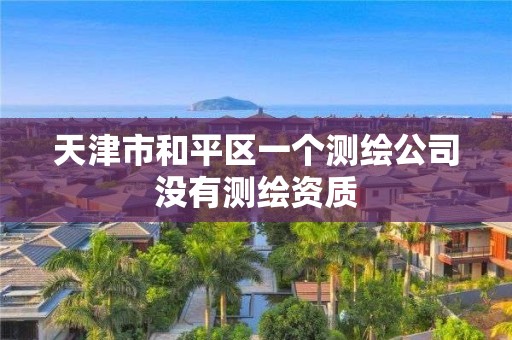 天津市和平區一個測繪公司沒有測繪資質