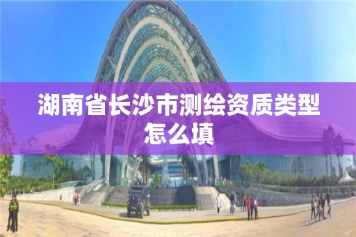 湖南省長沙市測繪資質類型怎么填