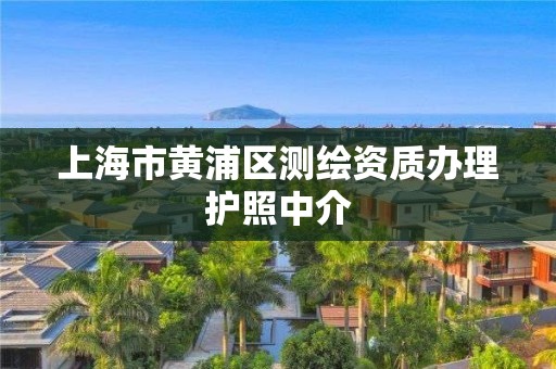 上海市黃浦區(qū)測繪資質辦理護照中介