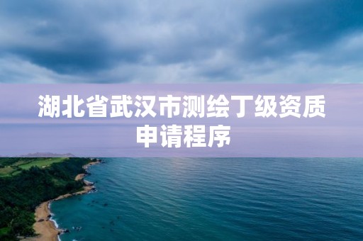 湖北省武漢市測繪丁級資質申請程序