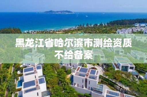 黑龍江省哈爾濱市測繪資質不給備案