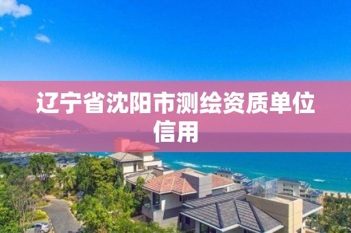 遼寧省沈陽市測繪資質單位信用