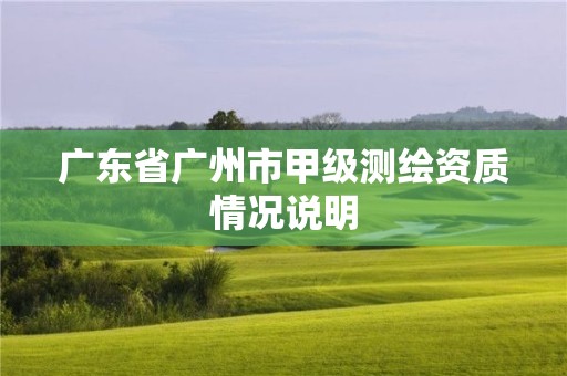 廣東省廣州市甲級測繪資質情況說明