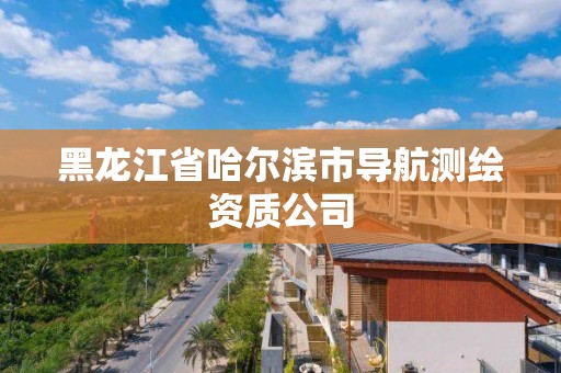 黑龍江省哈爾濱市導航測繪資質(zhì)公司