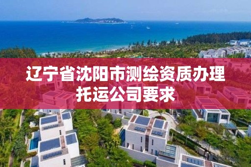 遼寧省沈陽市測繪資質(zhì)辦理托運公司要求