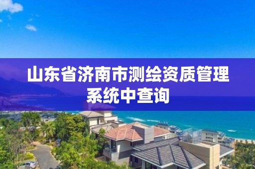 山東省濟南市測繪資質管理系統中查詢