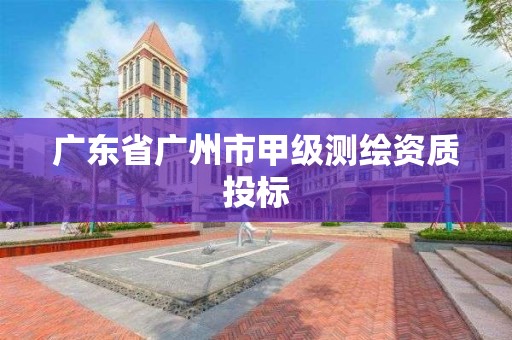 廣東省廣州市甲級測繪資質投標