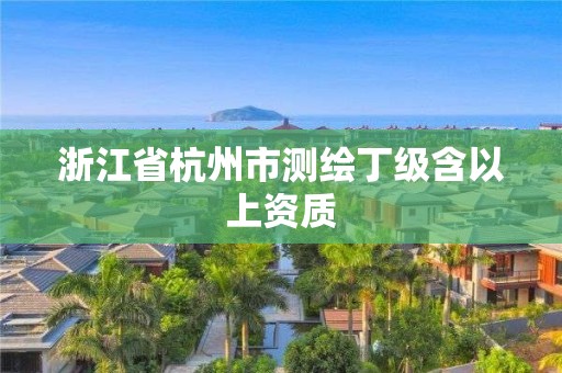 浙江省杭州市測繪丁級含以上資質