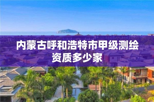 內蒙古呼和浩特市甲級測繪資質多少家