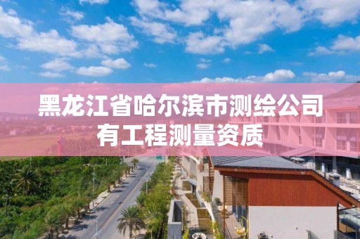 黑龍江省哈爾濱市測繪公司有工程測量資質