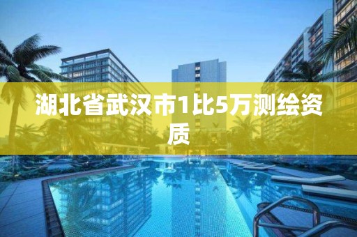 湖北省武漢市1比5萬測(cè)繪資質(zhì)