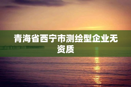 青海省西寧市測繪型企業無資質