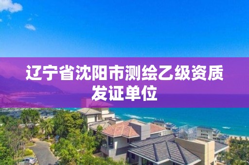 遼寧省沈陽市測繪乙級資質發證單位