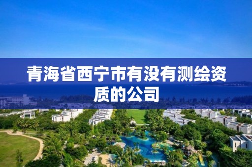 青海省西寧市有沒有測繪資質的公司