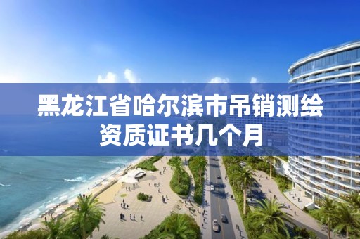 黑龍江省哈爾濱市吊銷測繪資質證書幾個月