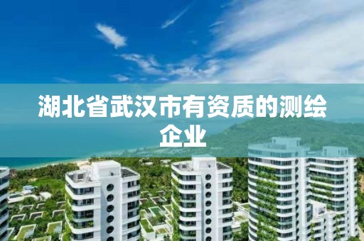 湖北省武漢市有資質的測繪企業