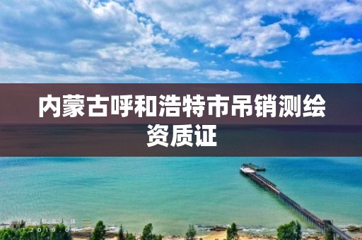 內蒙古呼和浩特市吊銷測繪資質證