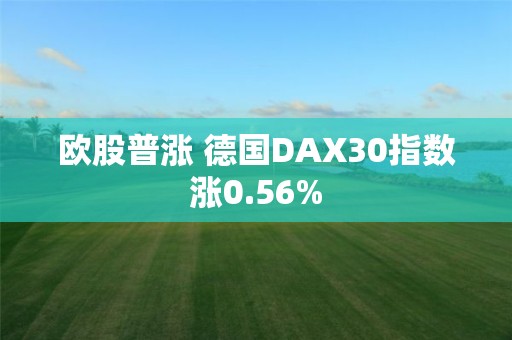 歐股普漲 德國DAX30指數漲0.56%