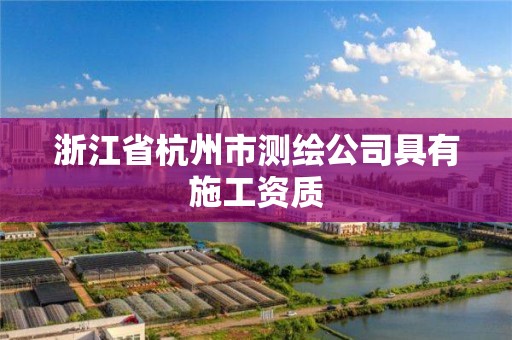 浙江省杭州市測繪公司具有施工資質