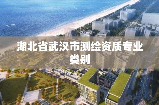 湖北省武漢市測繪資質專業類別