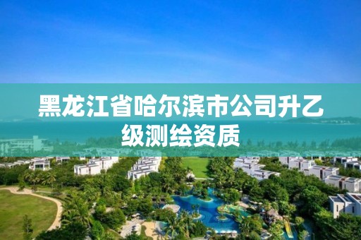 黑龍江省哈爾濱市公司升乙級測繪資質(zhì)