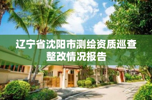 遼寧省沈陽市測繪資質巡查整改情況報告