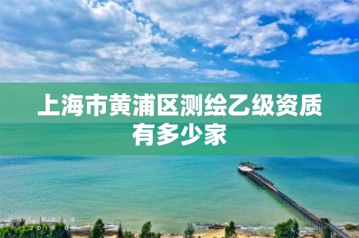 上海市黃浦區(qū)測(cè)繪乙級(jí)資質(zhì)有多少家